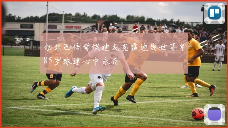 切尔西传奇埃迪麦克雷迪离世享年85岁球迷心中永存