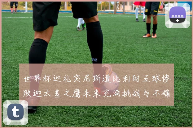 世界杯巡礼突尼斯遭比利时五球惨败迦太基之鹰未来充满挑战与不确定性